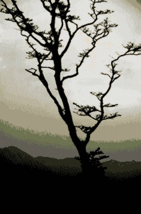 Refraction - япония, природа, монохром - предпросмотр