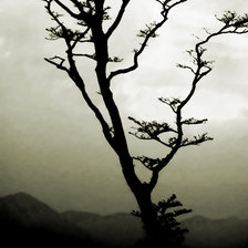 Схема вышивки «Refraction»