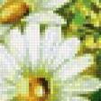 Предпросмотр схемы вышивки «маки и ромашки» (№952792)