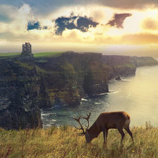 Схема вышивки «Highlands»