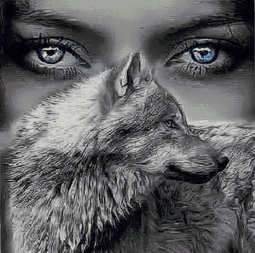 Девушка с волком - животные, лошади, волки - предпросмотр