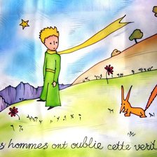 Схема вышивки «Приручи меня!»