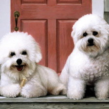 Схема вышивки «милахи»