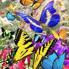 Схема вышивки «№953783»