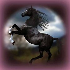 Схема вышивки «Corcel»