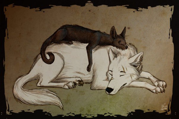 сон - сон, волк, котик - оригинал