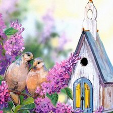 Любовь и голуби