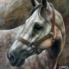 Схема вышивки «№955226»