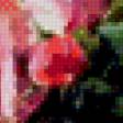 Предпросмотр схемы вышивки «Розы» (№955325)