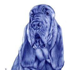 Схема вышивки «бассет рисунок монохром»