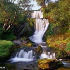 Схема вышивки «№955588»