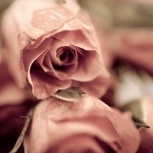 Схема вышивки «Отражение»