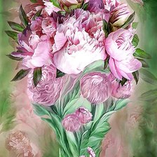 королевские тюльпаны