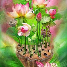 Схема вышивки «лотосы»