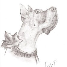 осенний пёс