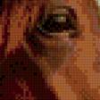Предпросмотр схемы вышивки «взгляд коня» (№956096)