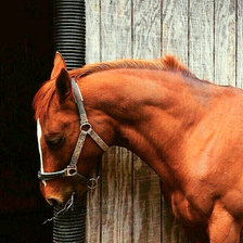 Схема вышивки «новая1»