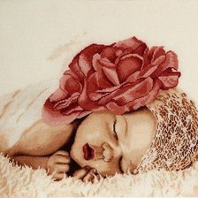 сладкий сон