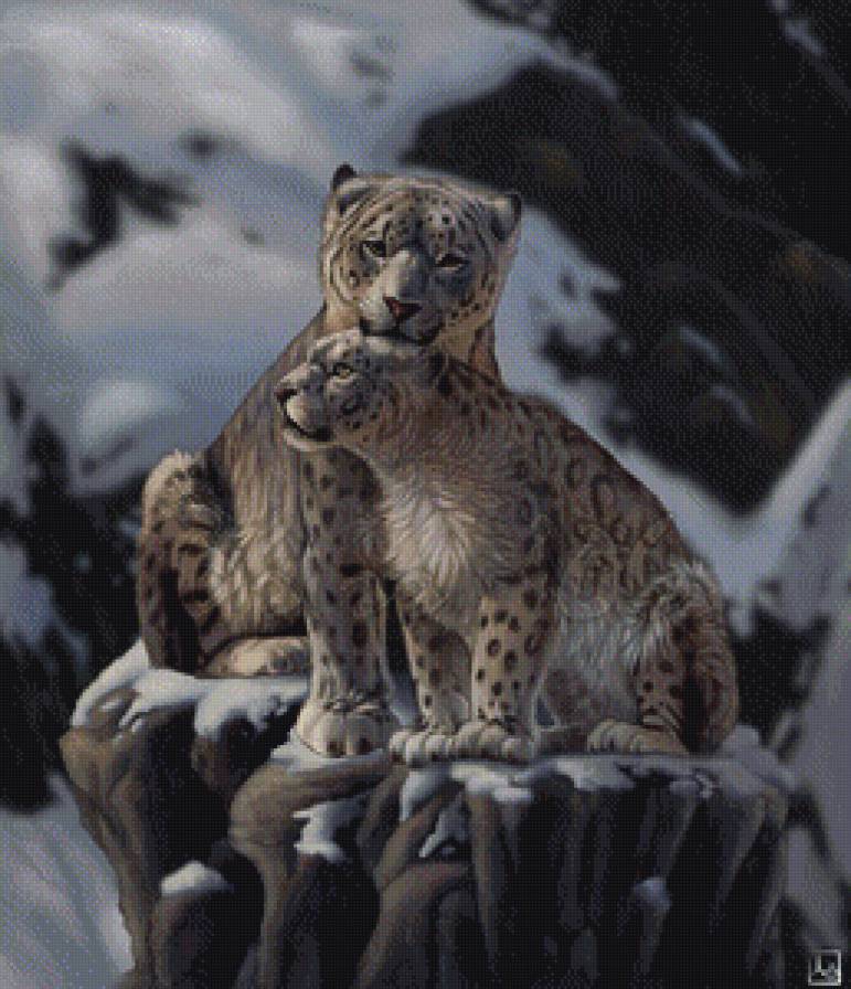 снежные барсы - хищник, барс - предпросмотр