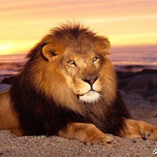 Схема вышивки «№956898»