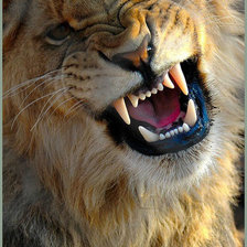 Схема вышивки «№956900»