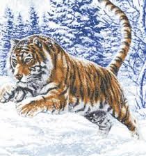 прыжок тигра