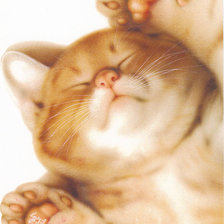 Схема вышивки «котик»