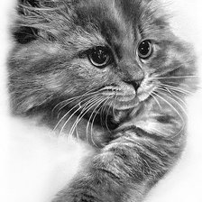 Схема вышивки «Серия "Домашние любимцы"»