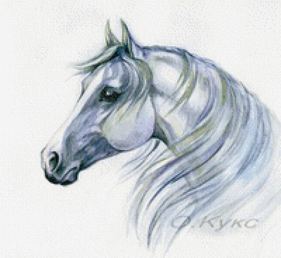 Лошадь. О.Кукс - лошадь, конь - предпросмотр