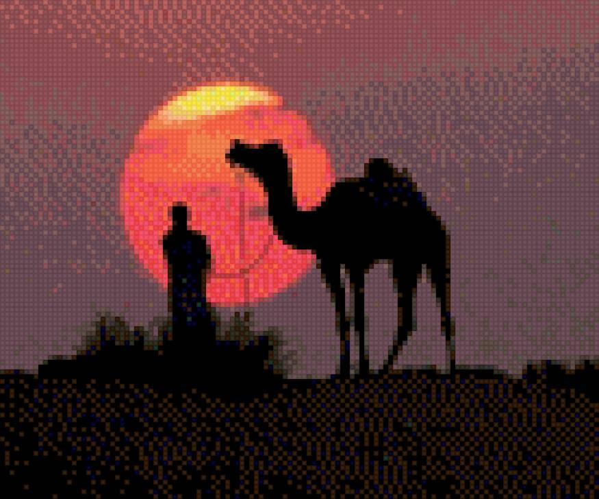 Верблюд и солнце - азия - предпросмотр