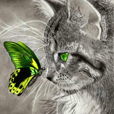 Схема вышивки «Серия "Домашние любимцы"»