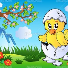 цыпленок в яйце