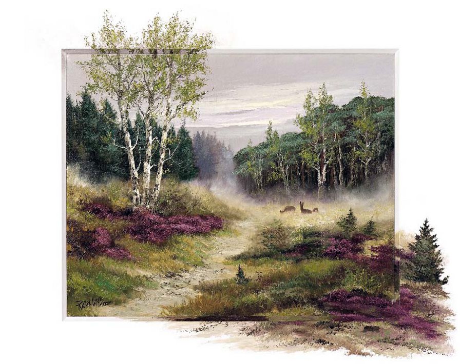 лесная опушка - пейзаж, лес - оригинал