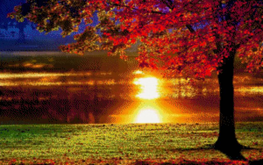 закат - дерево, закат, река - предпросмотр