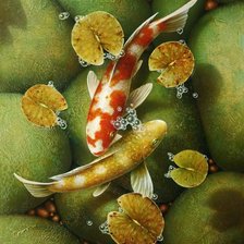 Схема вышивки «Карпы кои. Пара.»