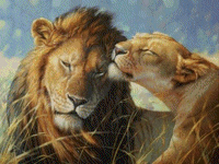 львы - животные - предпросмотр