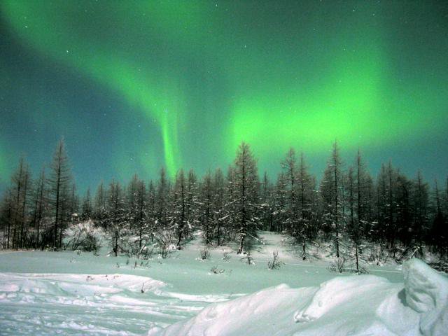 зима - оригинал