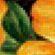 Предпросмотр схемы вышивки «гибискусы» (№958550)