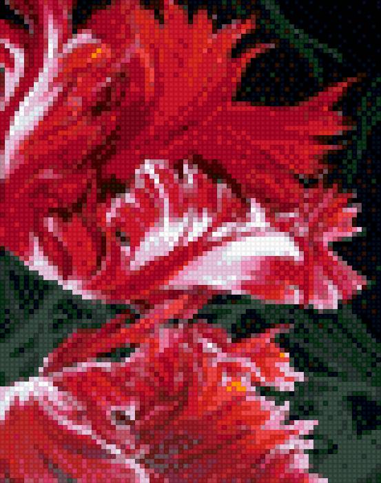 тюльпанчик - букет, маленькая, цветы - предпросмотр