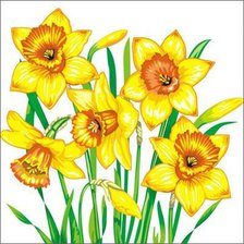 Схема вышивки «Нарцис»