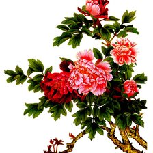 Схема вышивки «Пионы»