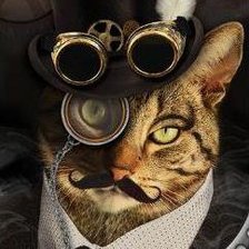 Схема вышивки «Стим.»