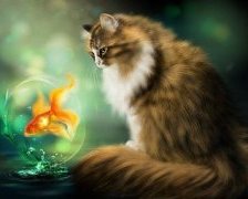 Схема вышивки «ВОТ ТЫ КАКАЯ РЫБКА???»