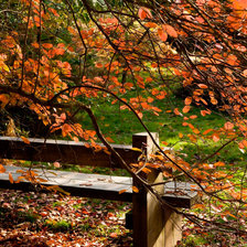 Схема вышивки «Осенний парк»