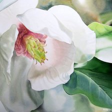 Схема вышивки «Магнолия»