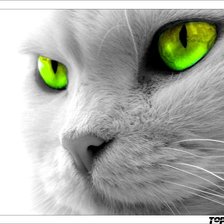 Схема вышивки «34»