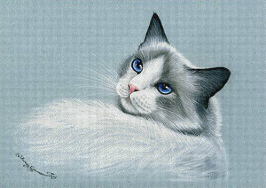 кошечка - кошка, кот - предпросмотр