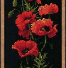 Схема вышивки «маки»
