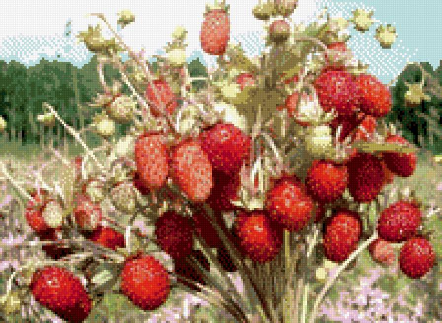 земляника - лето - предпросмотр