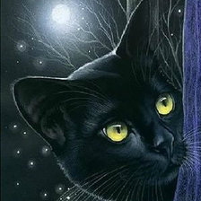 Схема вышивки «Серия "Домашние любимцы"»